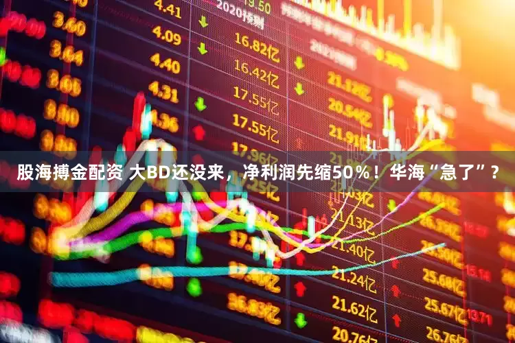 股海搏金配资 大BD还没来，净利润先缩50％！华海“急了”？