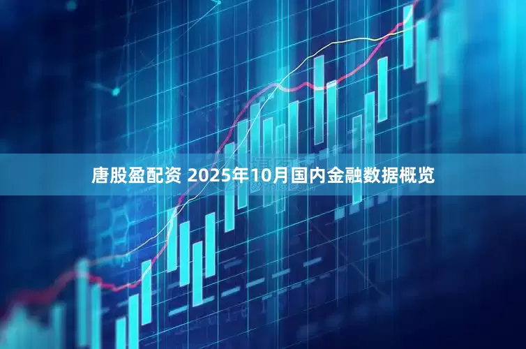 唐股盈配资 2025年10月国内金融数据概览