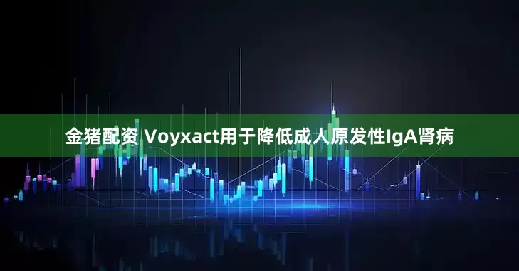 金猪配资 Voyxact用于降低成人原发性IgA肾病